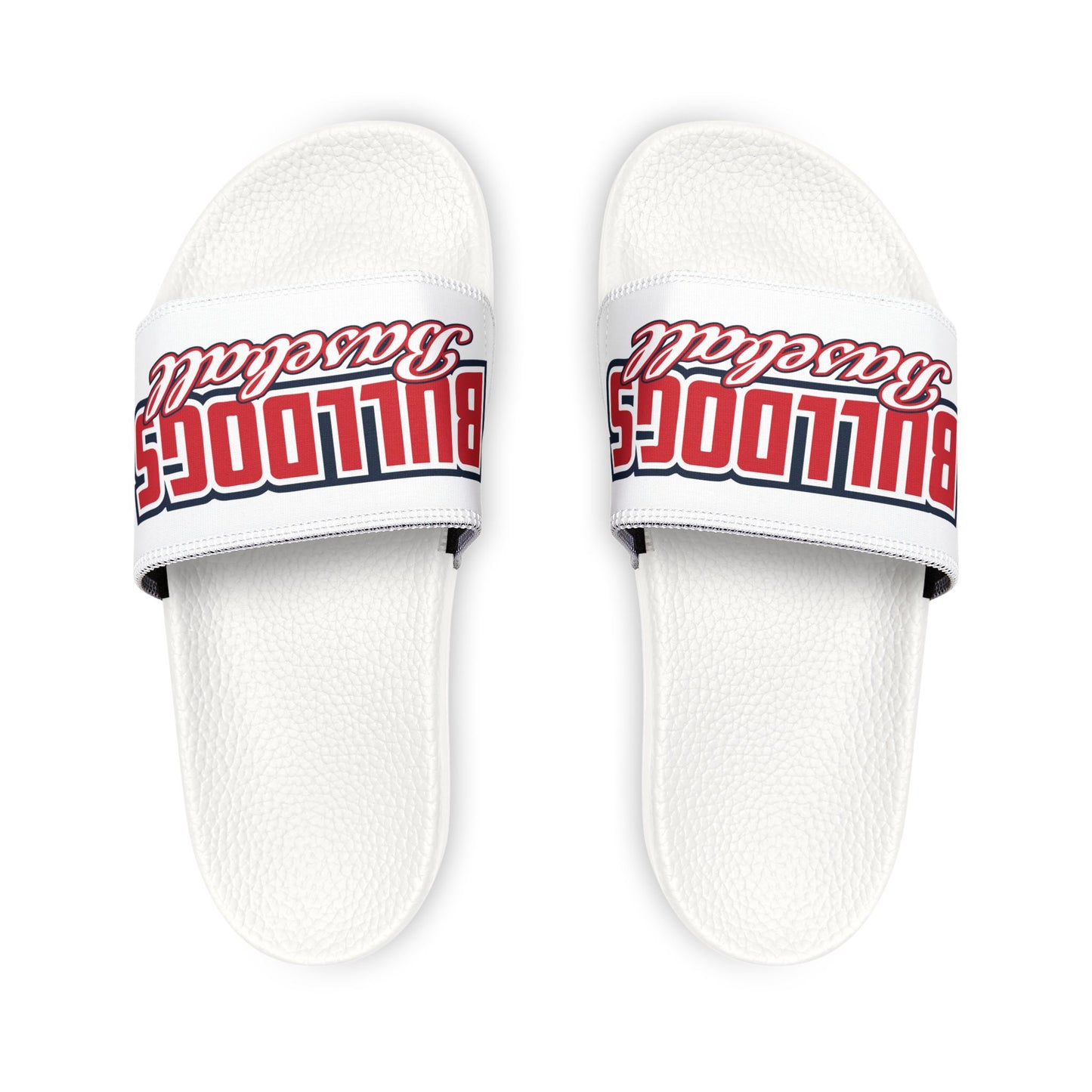 Bulldogs Baseball Slides