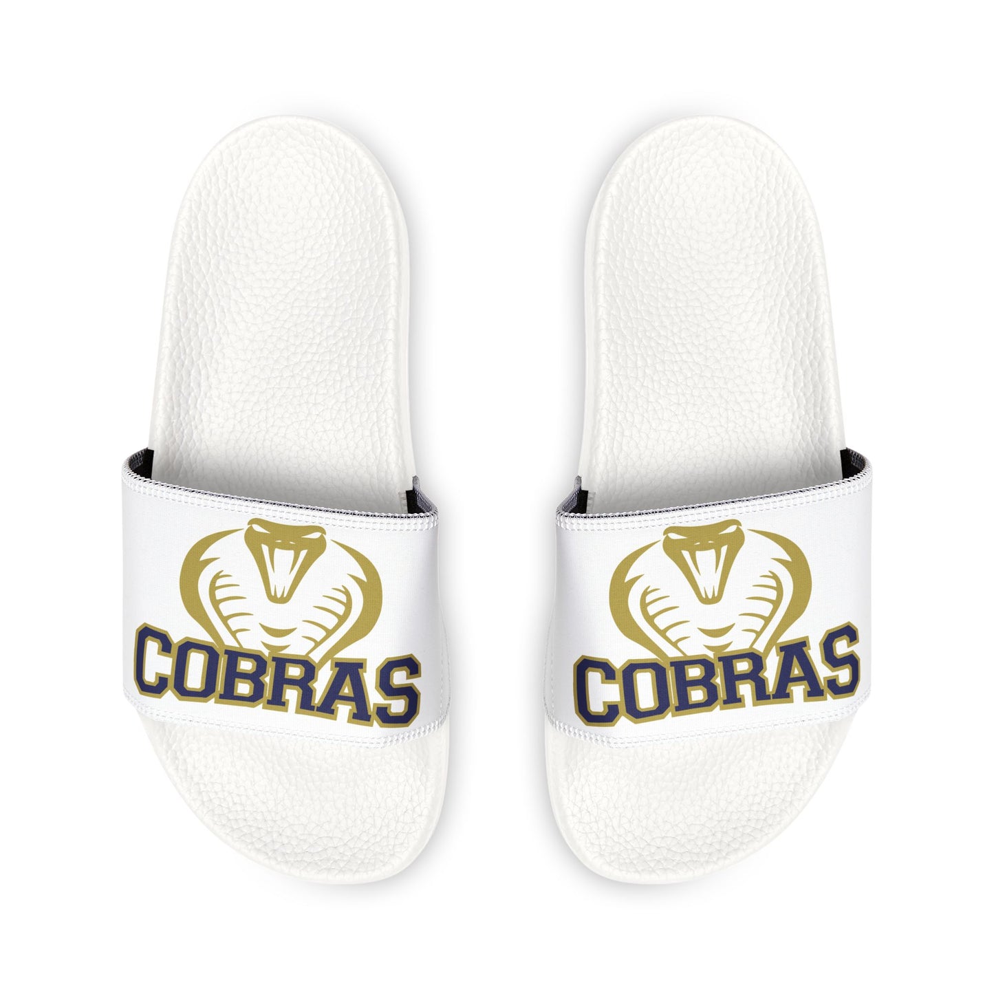 Cobras Baseball Slides