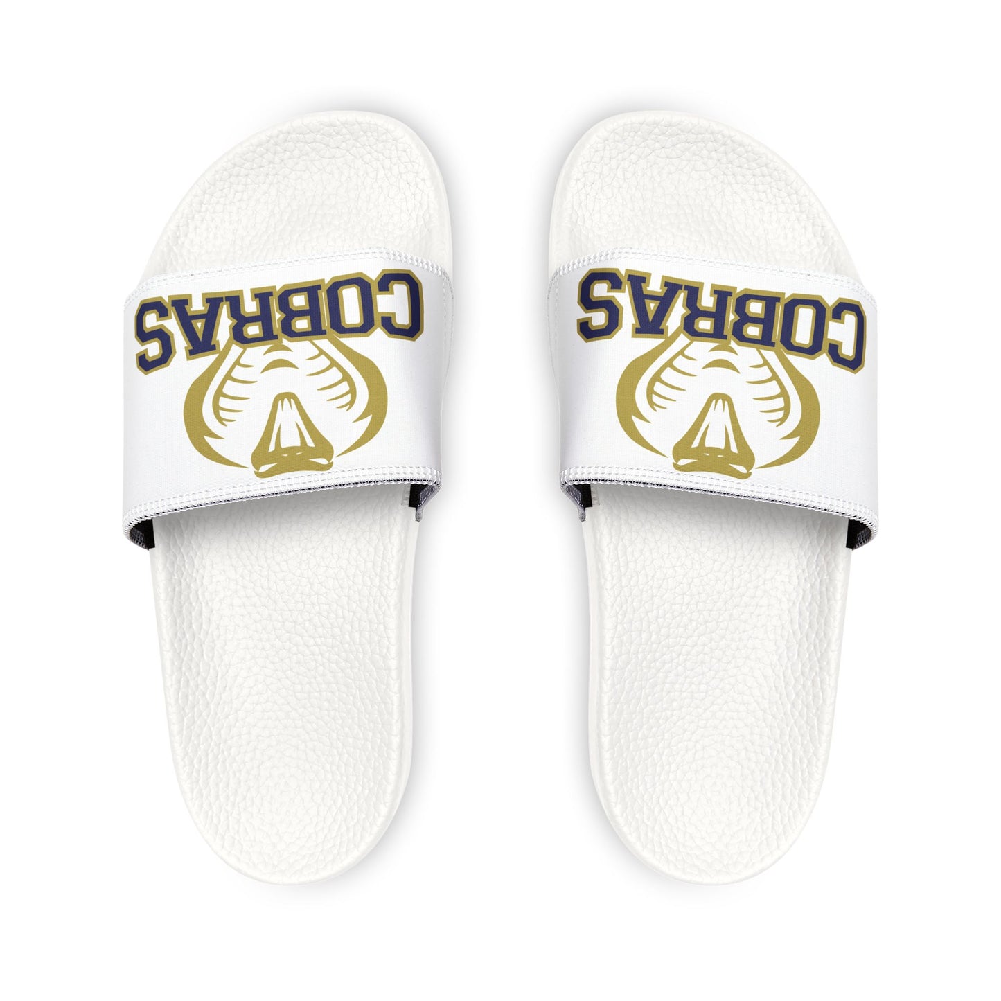 Cobras Baseball Slides