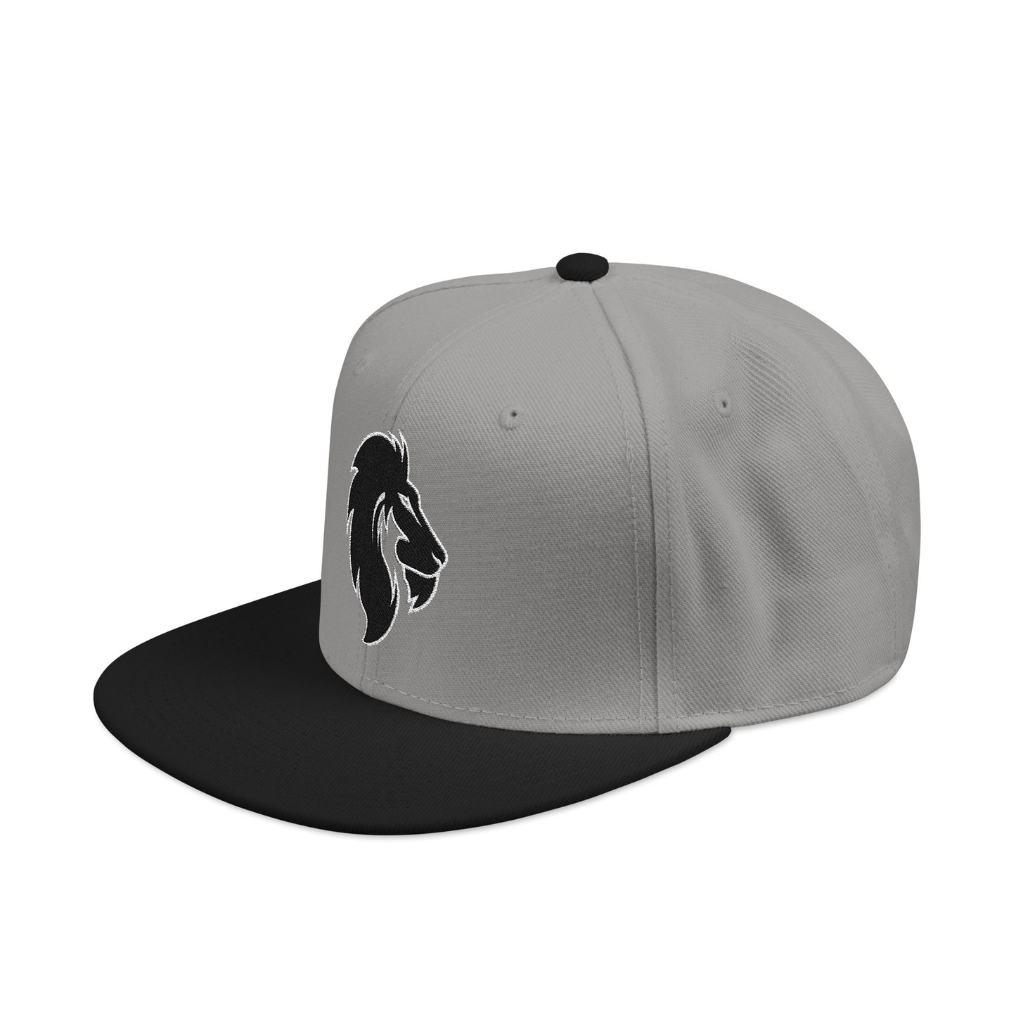Lions Snapback Hat