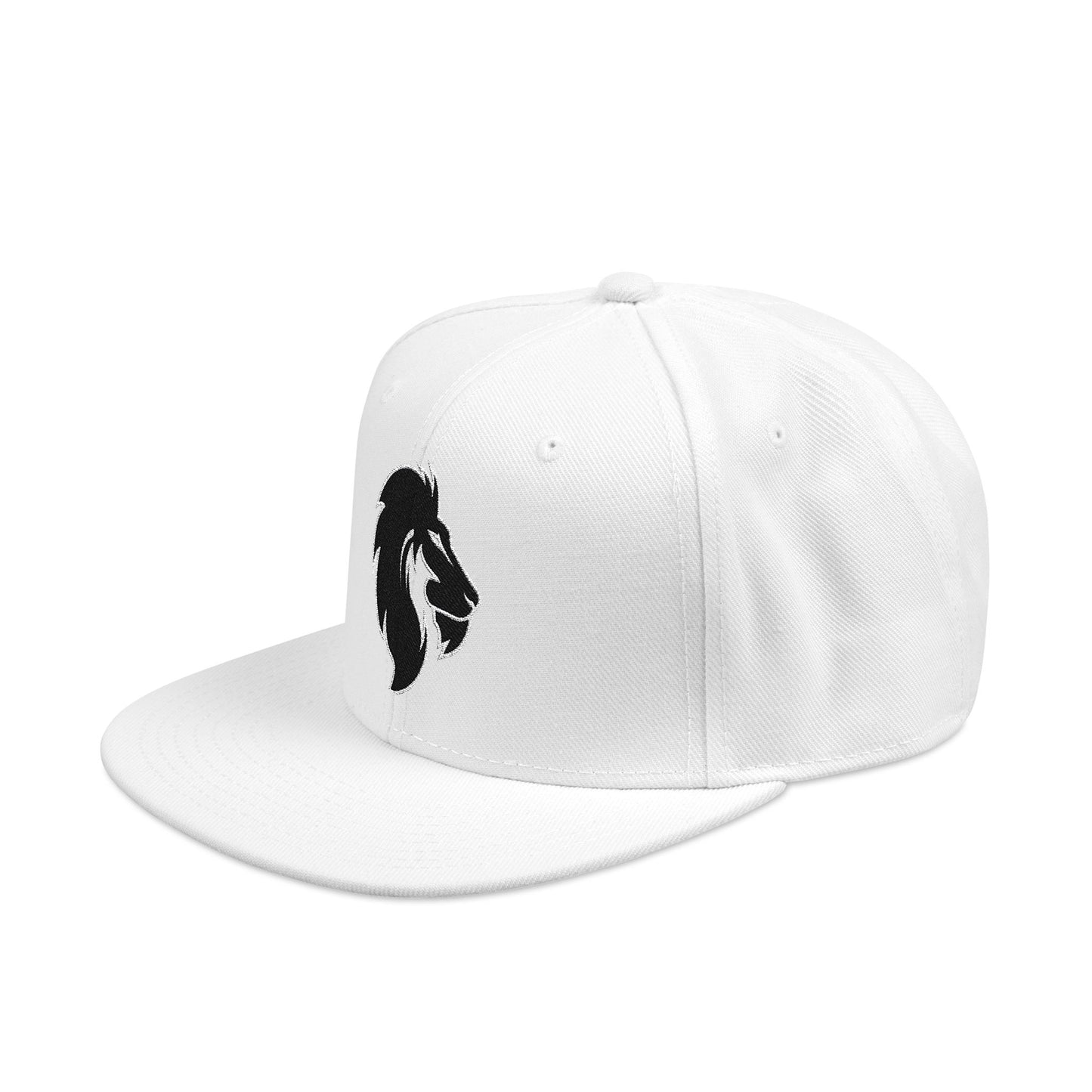 Lions Snapback Hat