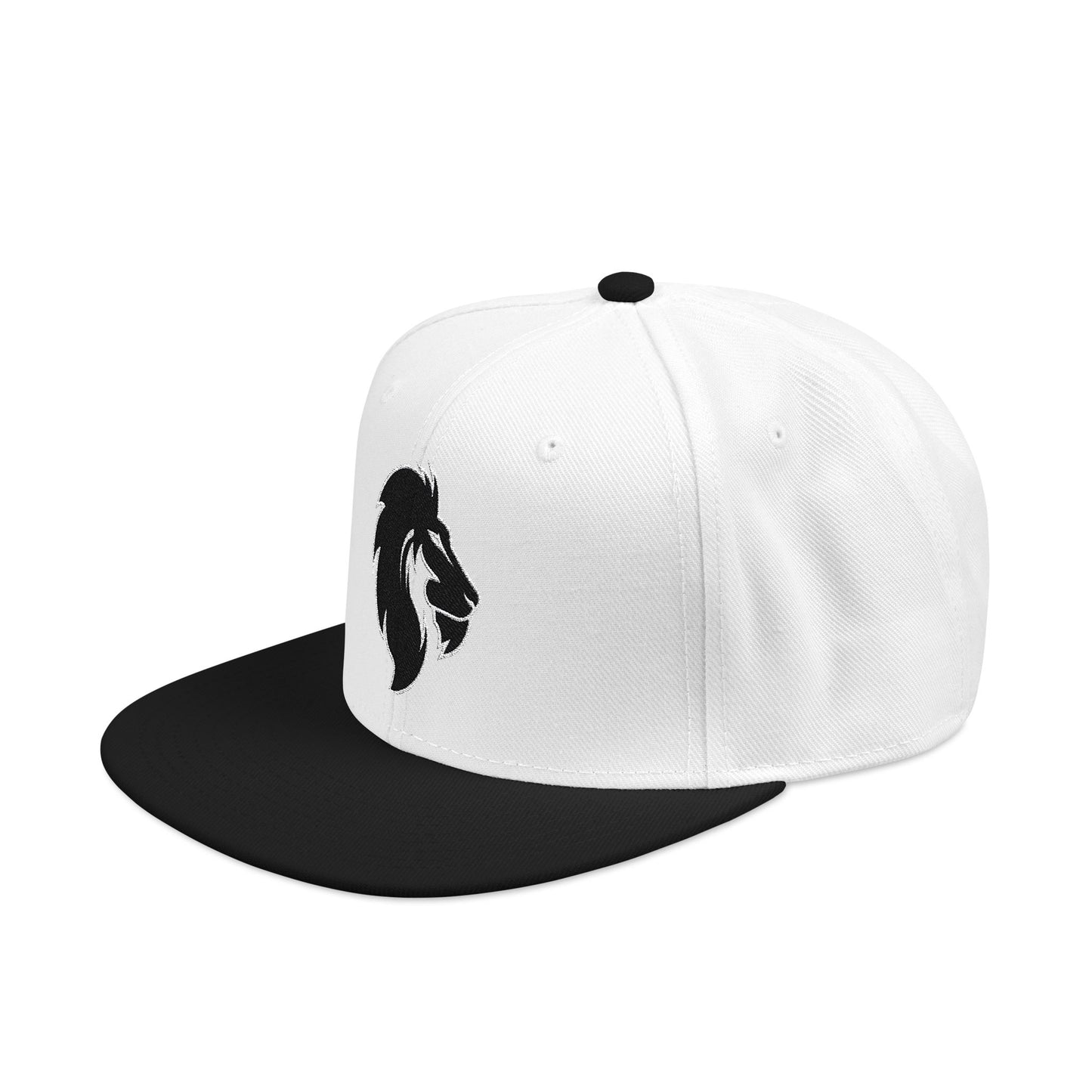 Lions Snapback Hat